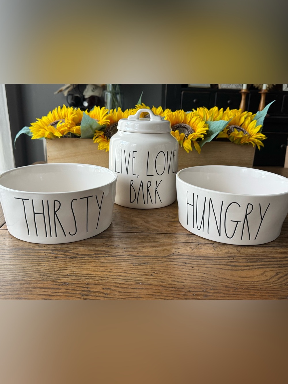 Rae Dunn Cream Ceramic Pet Bowl Set with Black Script